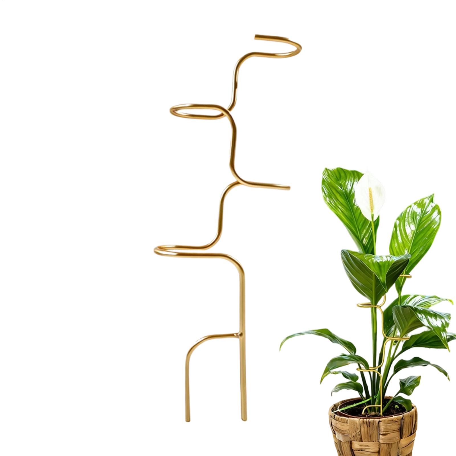Plant Support Stake - Garden Plant stem fixing support frame