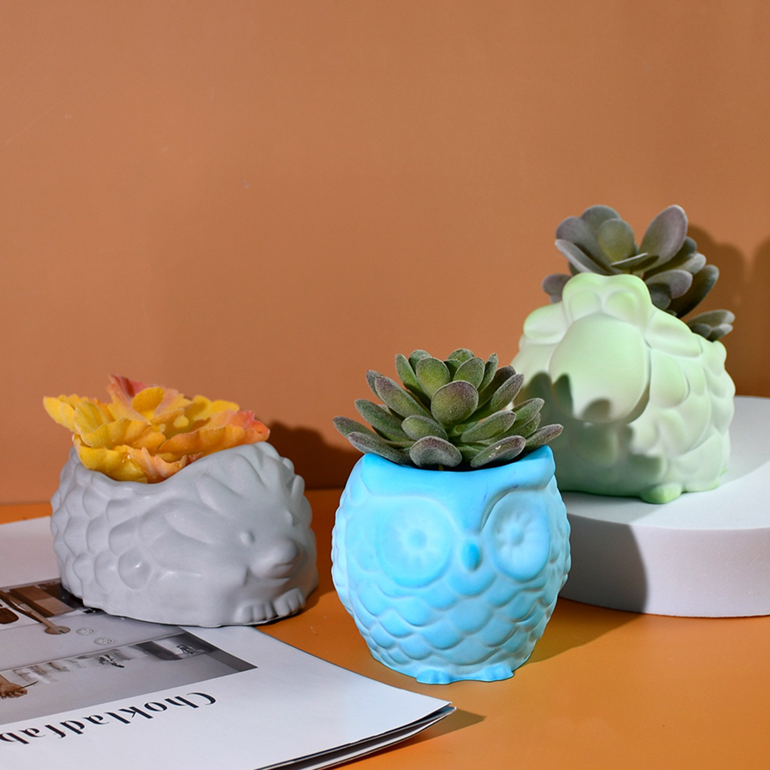 3D Animal Flower Pot Silicone  - đánh giá và giá Succulent Set