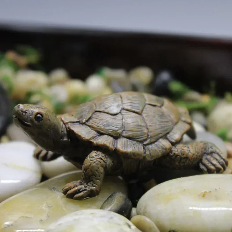 Resin Simulation Small Turtle  - đánh giá và giá Succulent Set