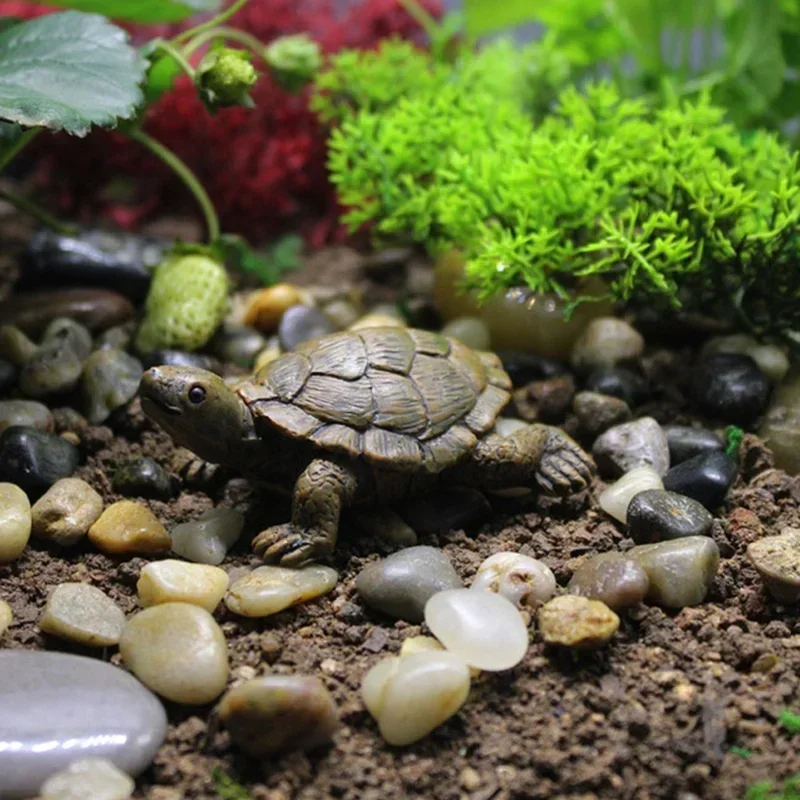 Resin Simulation Small Turtle  - đánh giá và giá Succulent Set