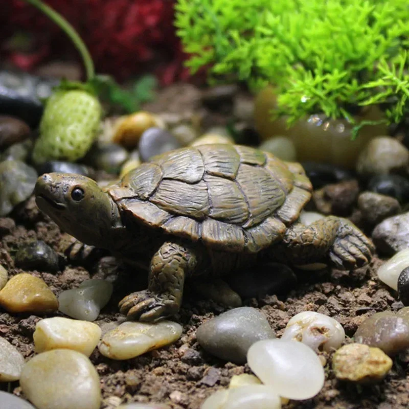 Resin Simulation Small Turtle  - đánh giá và giá Succulent Set