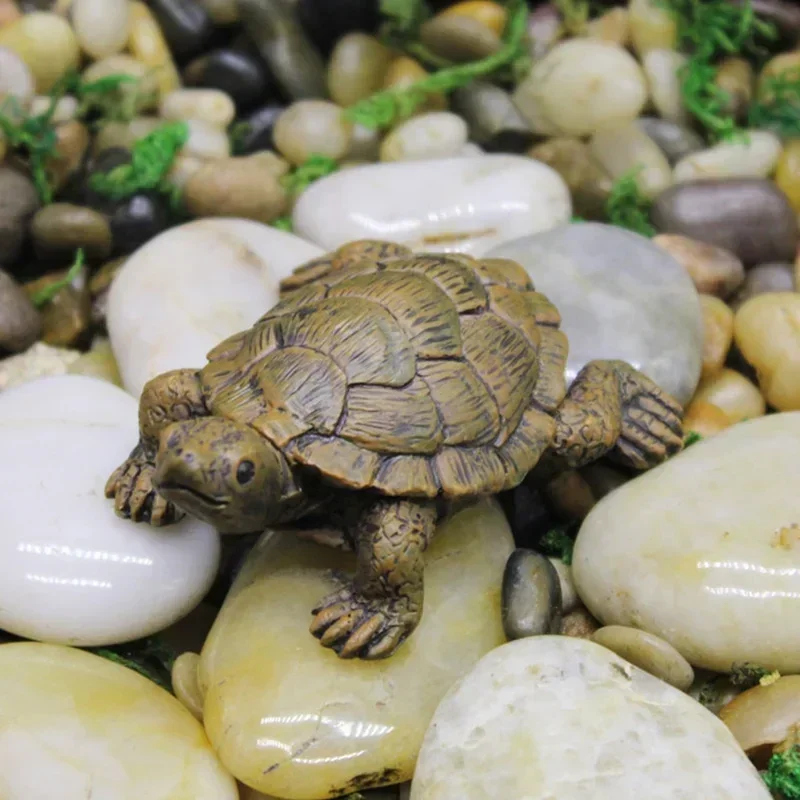 Resin Simulation Small Turtle  - đánh giá và giá Succulent Set