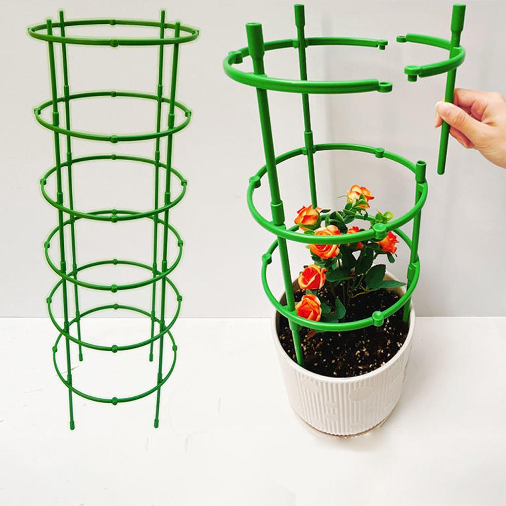 Tomato Cages Trellis Plastic C - đánh giá và giá Terracotta Pot