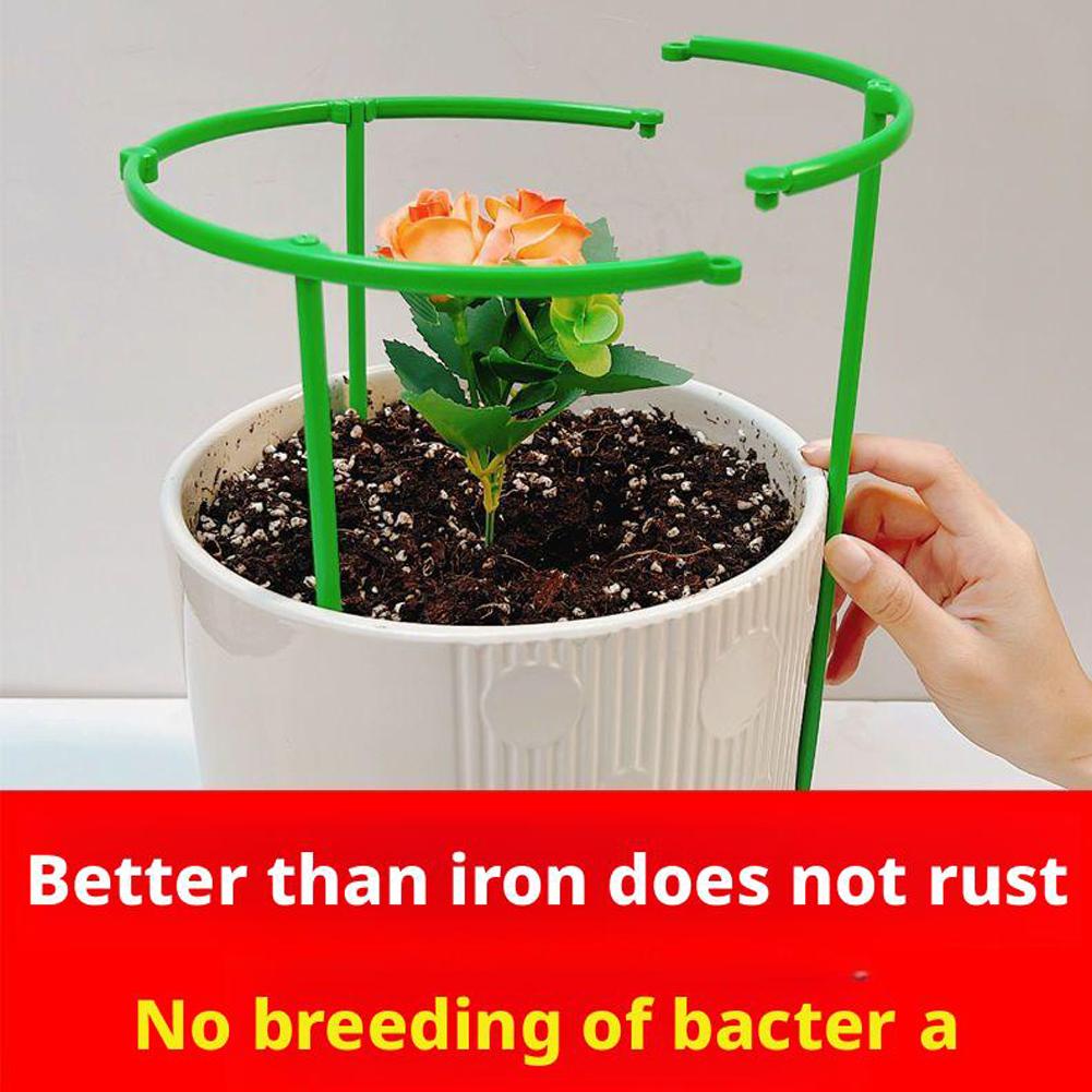 Tomato Cages Trellis Plastic C - đánh giá và giá Terracotta Pot