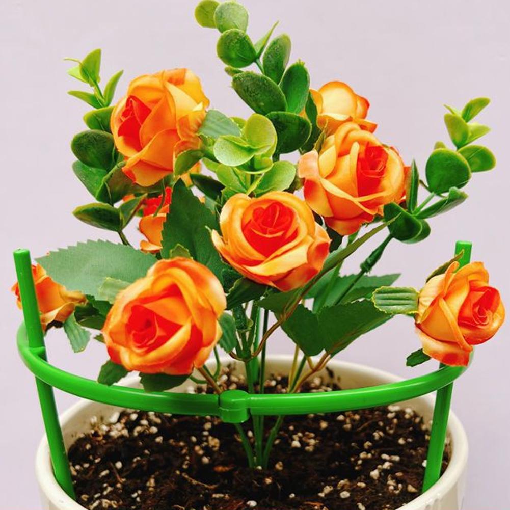 Tomato Cages Trellis Plastic C - đánh giá và giá Terracotta Pot