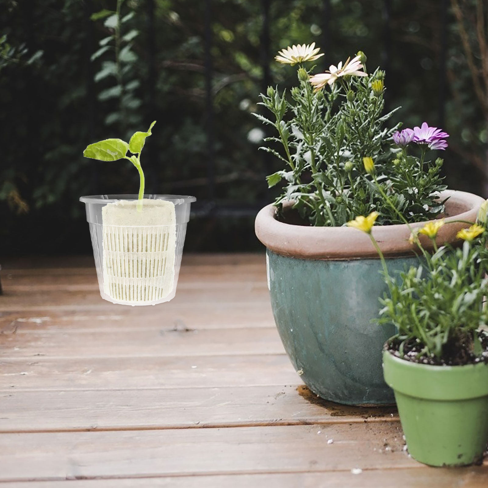 4Pcs Hydroponic Plant Basket R - đánh giá và giá Plant Pot