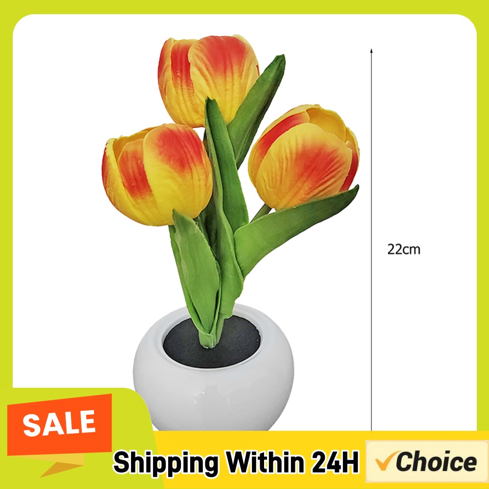 9x22cm Potted Plant Table Lamp - đánh giá và giá Plant Pot