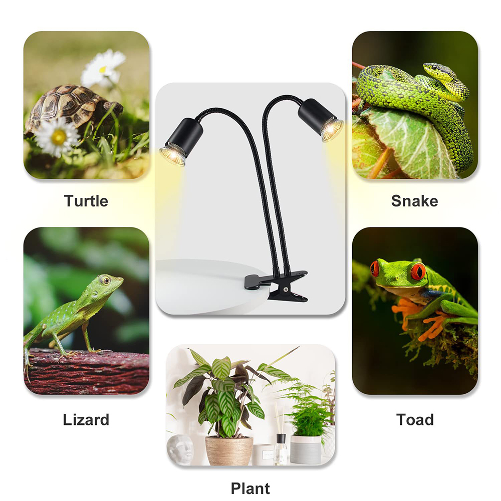 Reptile Heat Lamp Rotating Dou - đánh giá và giá Snake Plant