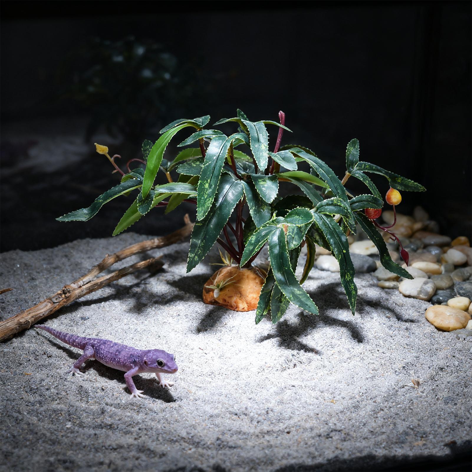 Fake Reptile Plants Snake Tank - đánh giá và giá Snake Plant
