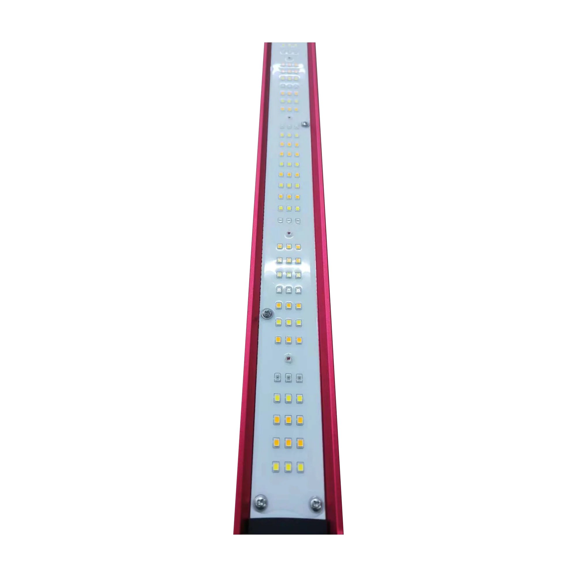 450w 600w 800w 1000Watt Indoor - đánh giá và giá Indoor Plants