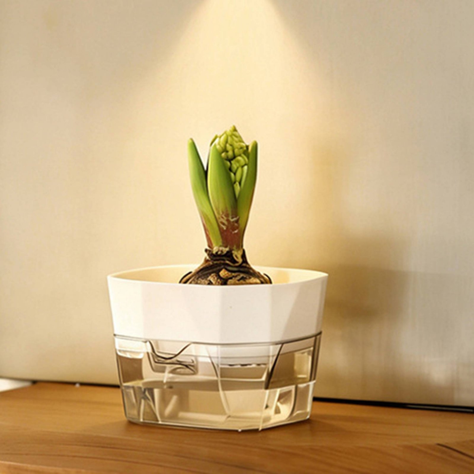 Hydroponic Bulb Vase 2-Tier De - đánh giá và giá Plant Pot
