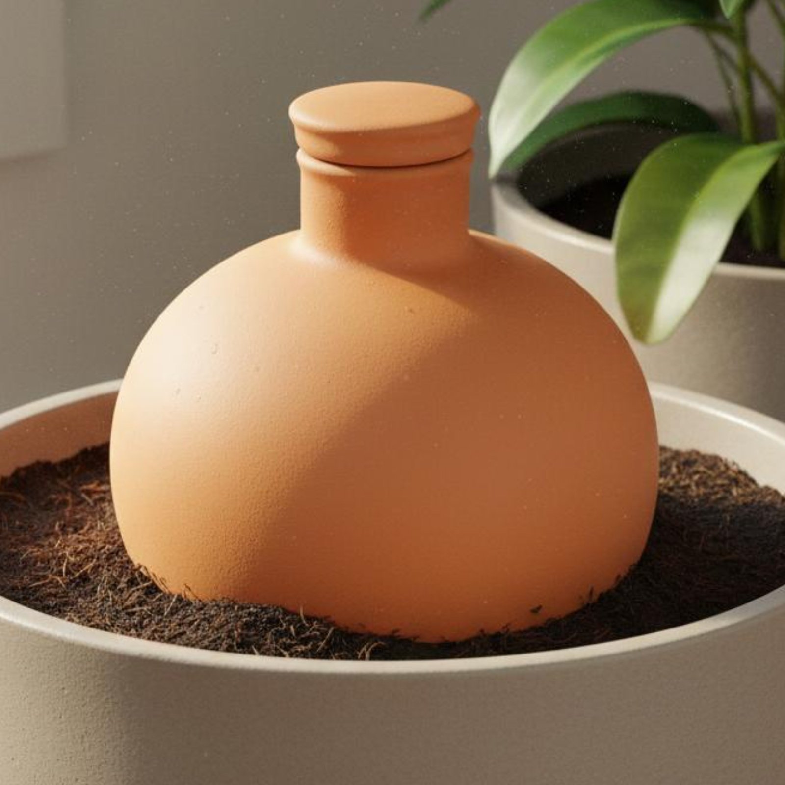 2 Pieces Terracotta Olla Easy  - đánh giá và giá Terracotta Pot
