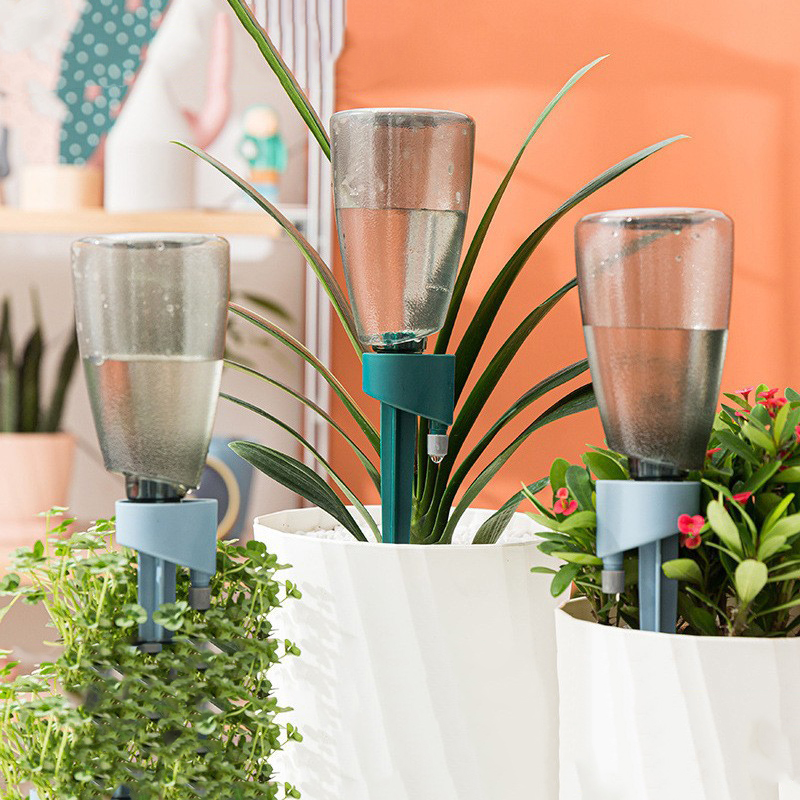 New Automatic Flower Watering  - đánh giá và giá Succulent Set