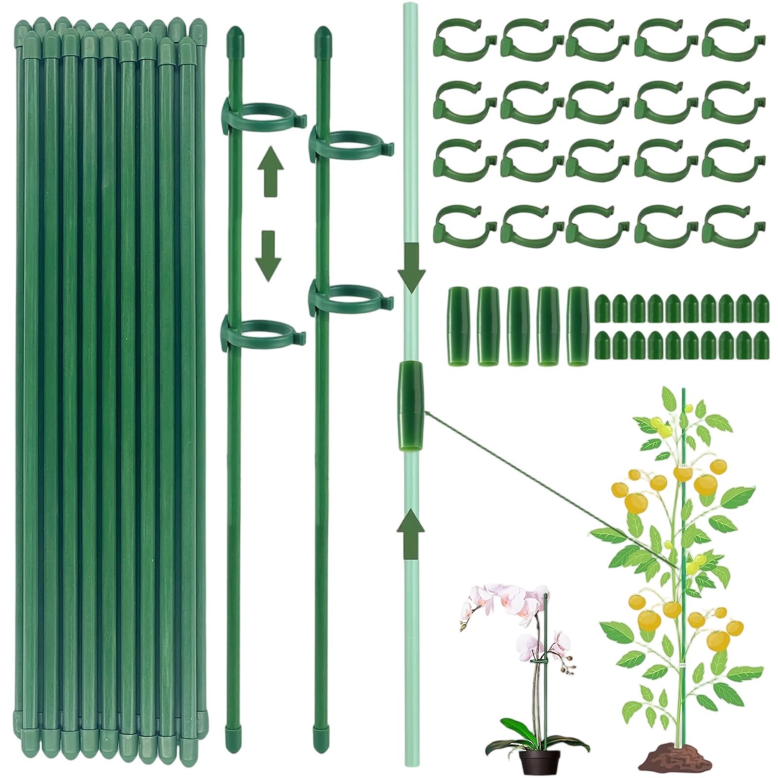 Plant Supports Rod Single Stem - đánh giá và giá Terracotta Pot