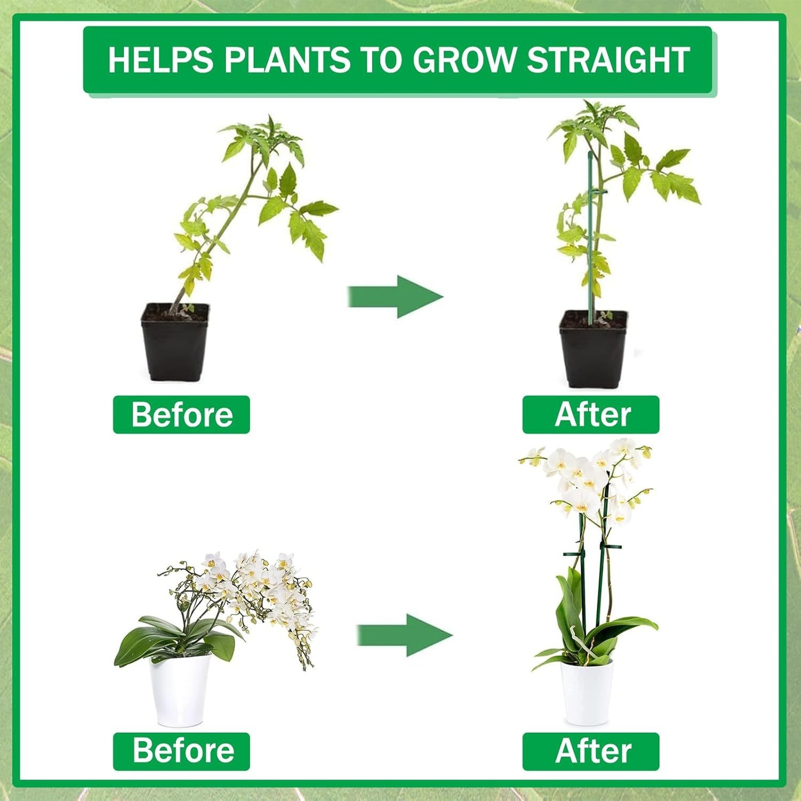 Plant Supports Rod Single Stem - đánh giá và giá Terracotta Pot