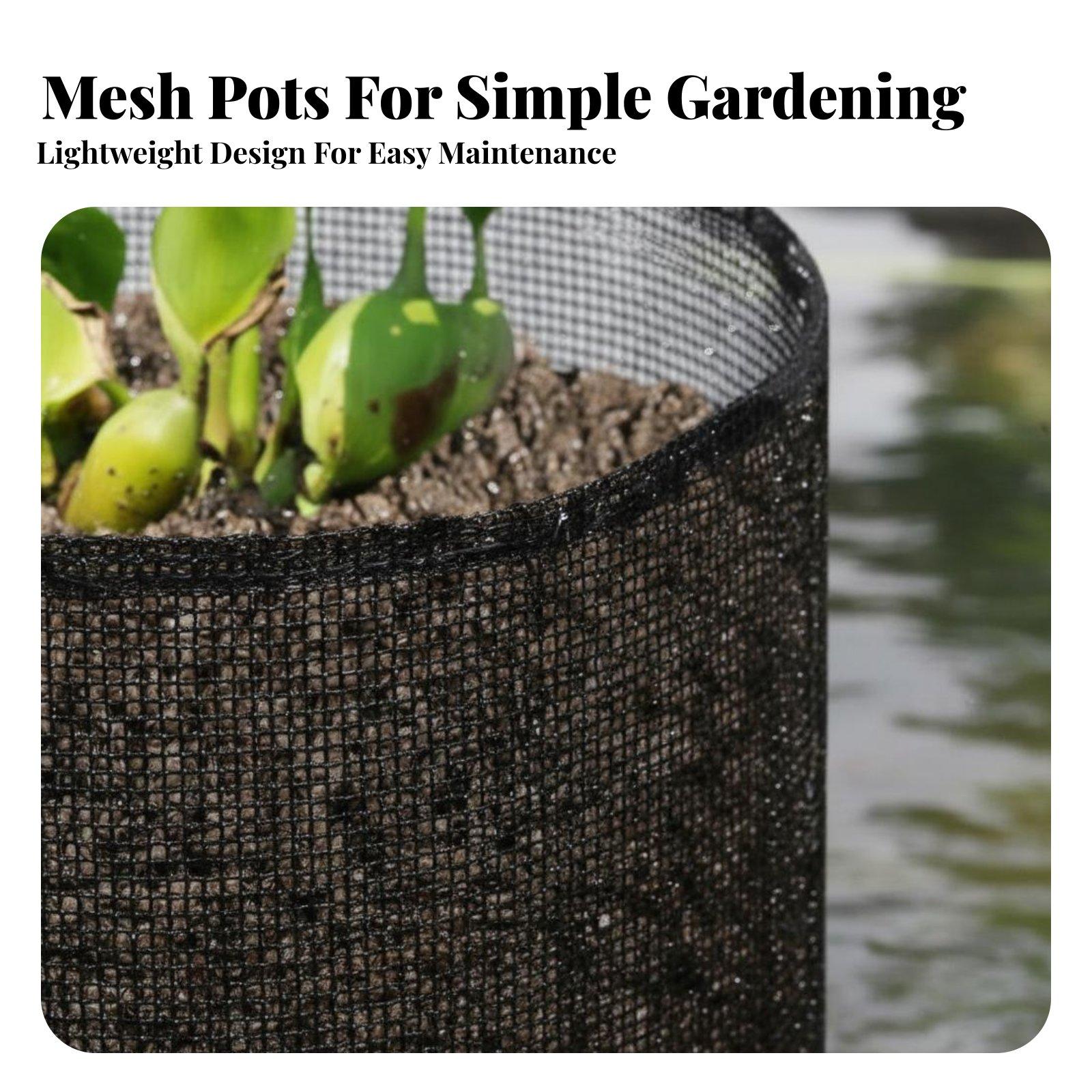 4 Piece Water Lily Planting Po - đánh giá và giá Plant Pot