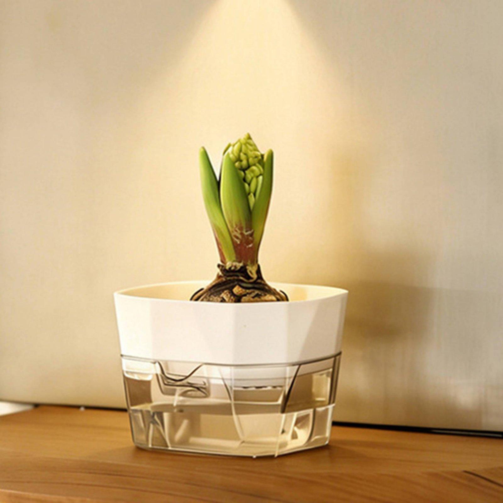 Hydroponic Vase Two Layer Self - đánh giá và giá Plant Pot