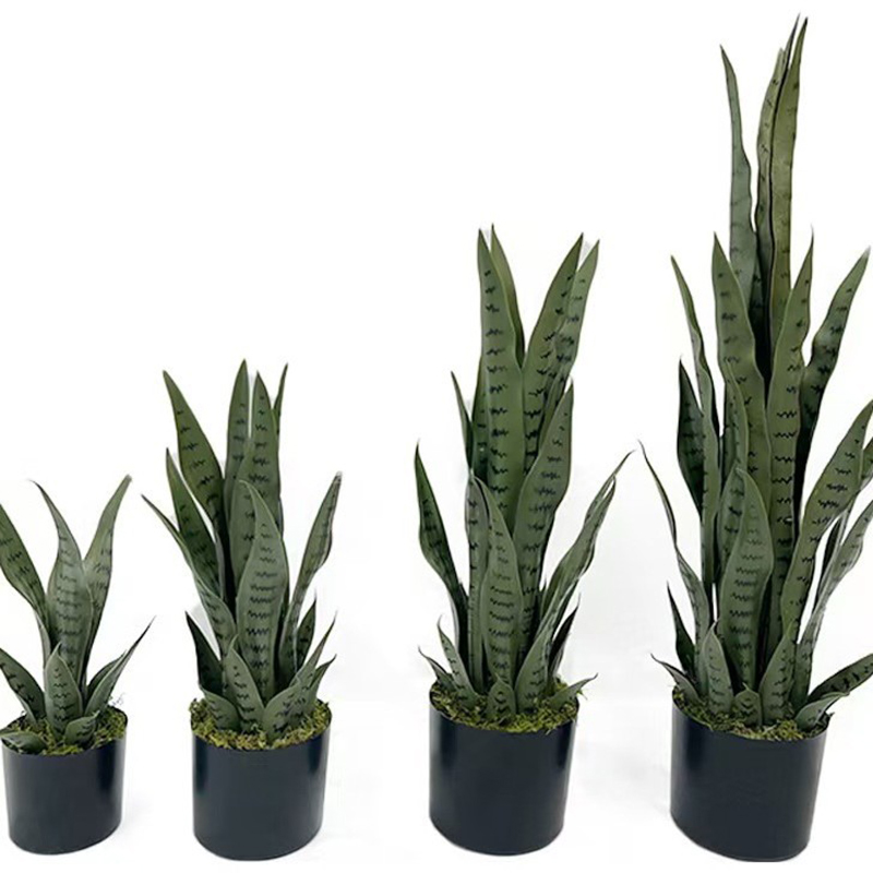 40-100cm Artificial Sansevieri - đánh giá và giá Snake Plant