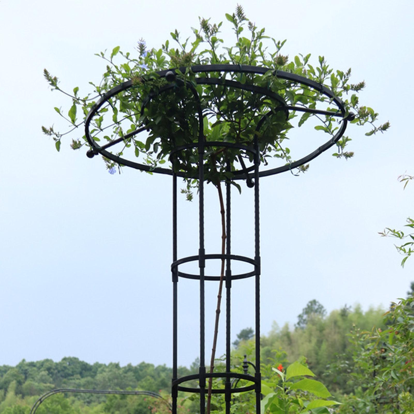 Garden Trellis Umbrella Tower  - đánh giá và giá Terracotta Pot