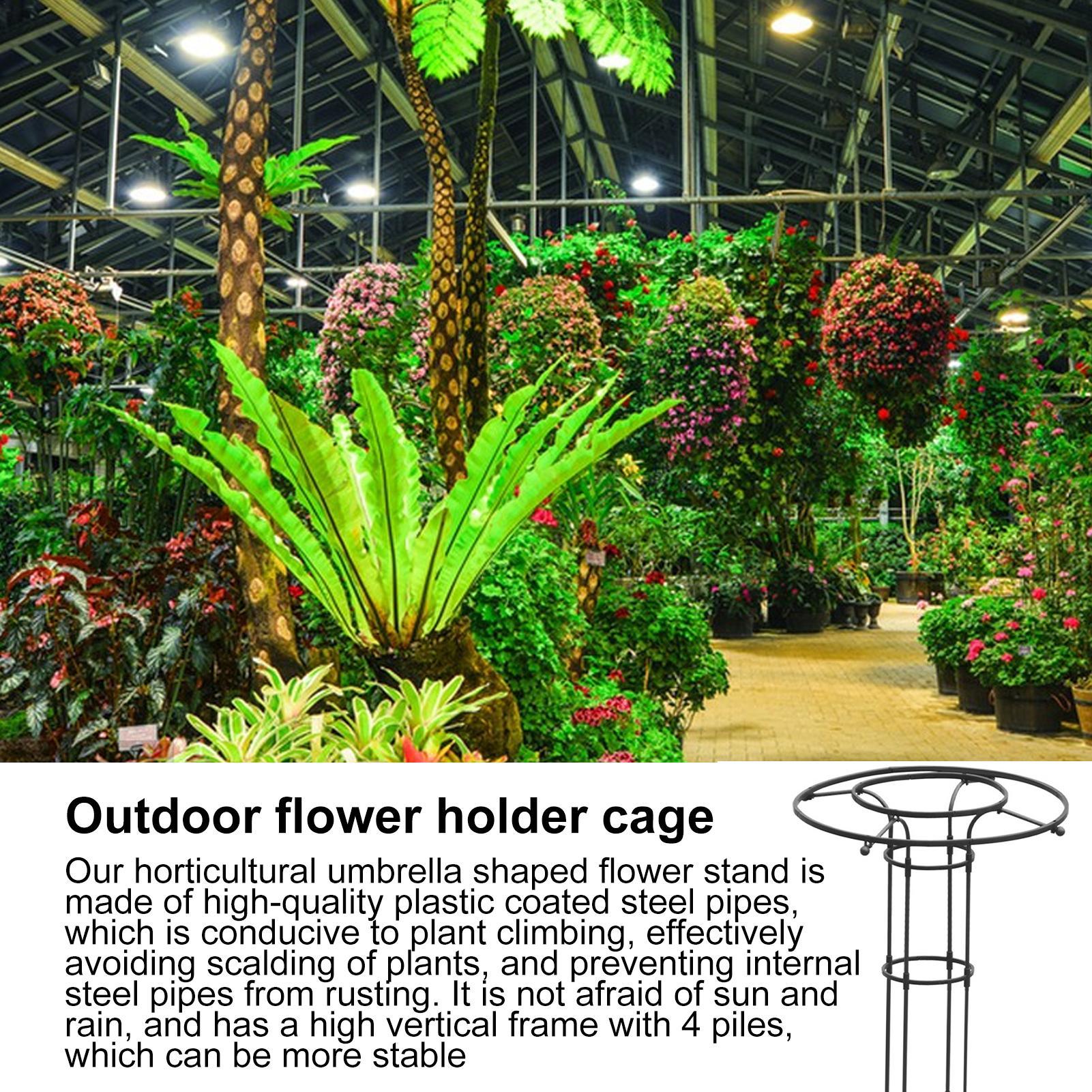 Garden Trellis Umbrella Tower  - đánh giá và giá Terracotta Pot