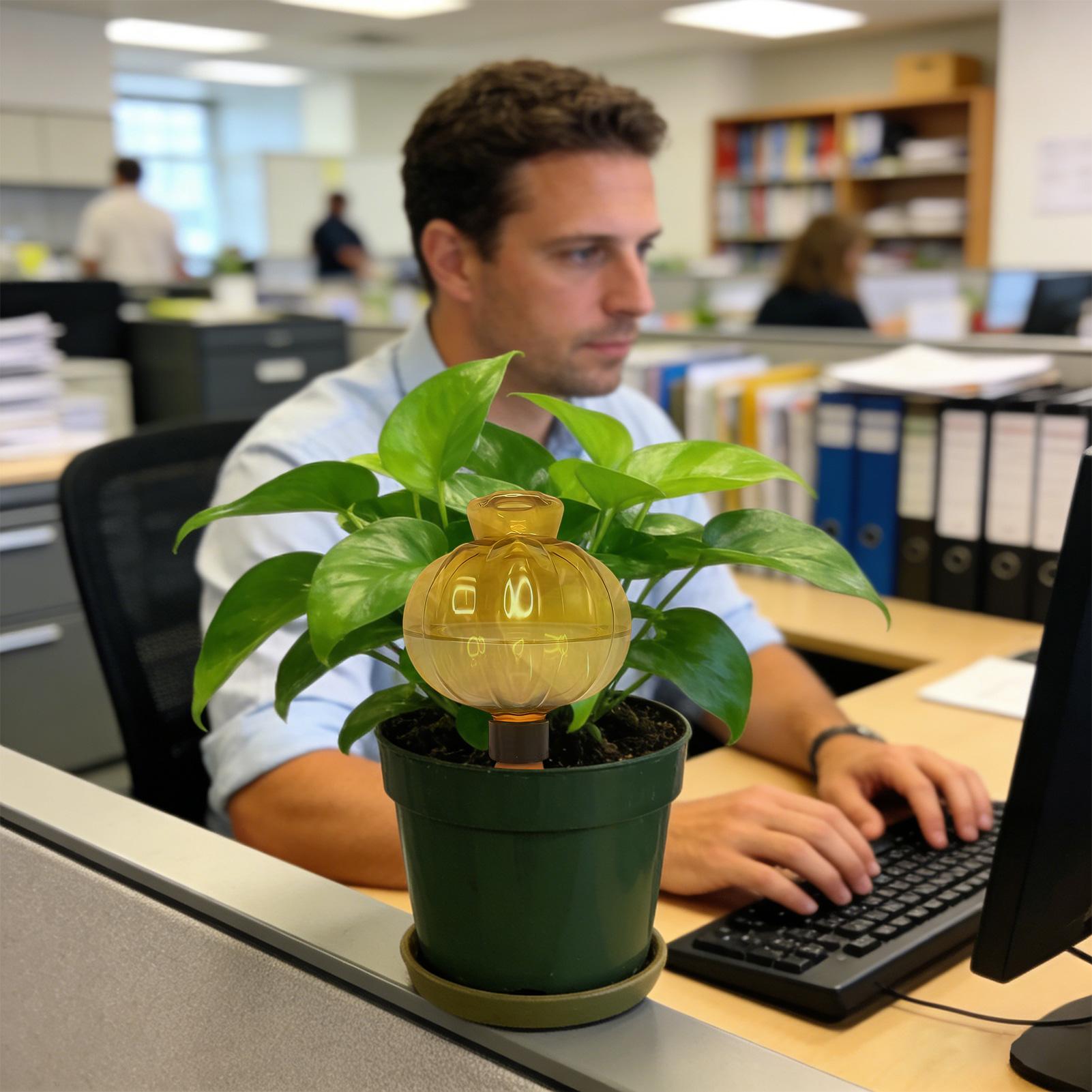 Plant Watering Globes 17Oz Aut - đánh giá và giá Indoor Plants