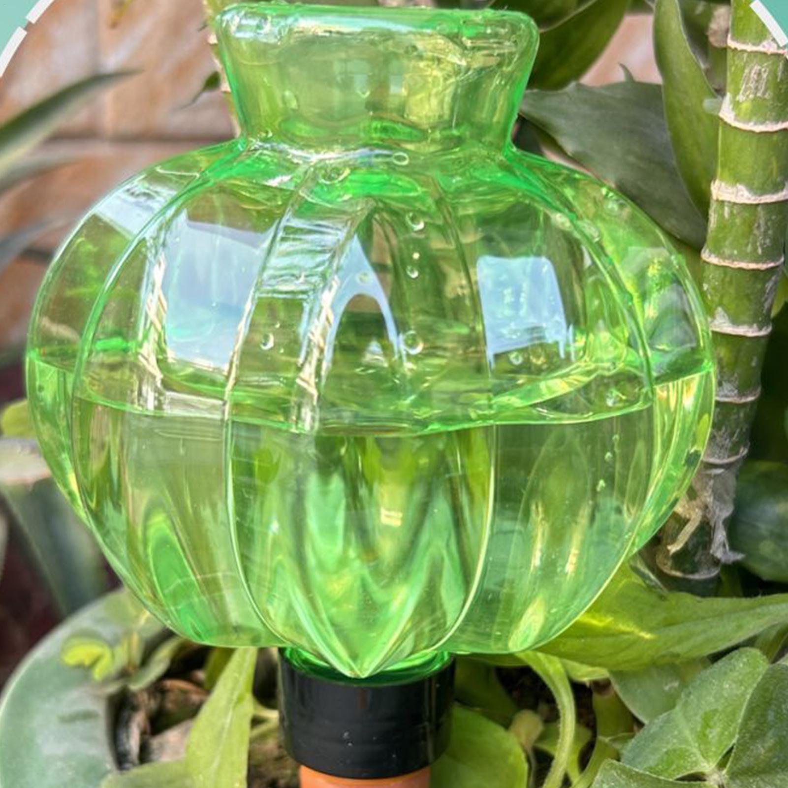 Plant Watering Globes 17Oz Aut - đánh giá và giá Indoor Plants