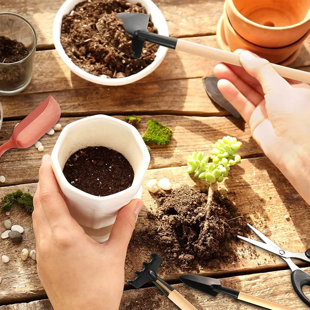 13PCS Succulent Plants Tool Se - đánh giá và giá Succulent Set