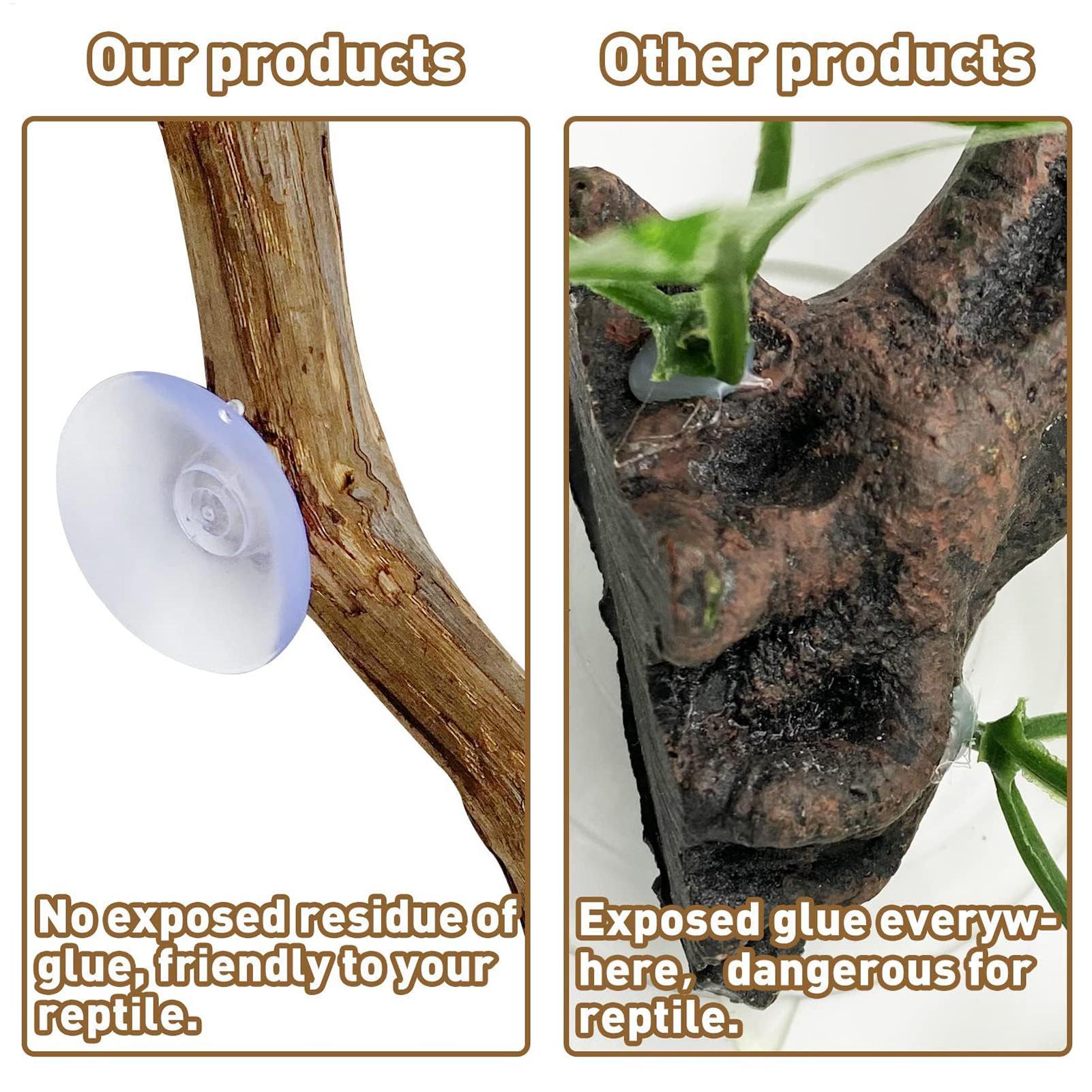 Reptile Climbing Corner Stick  - đánh giá và giá Snake Plant