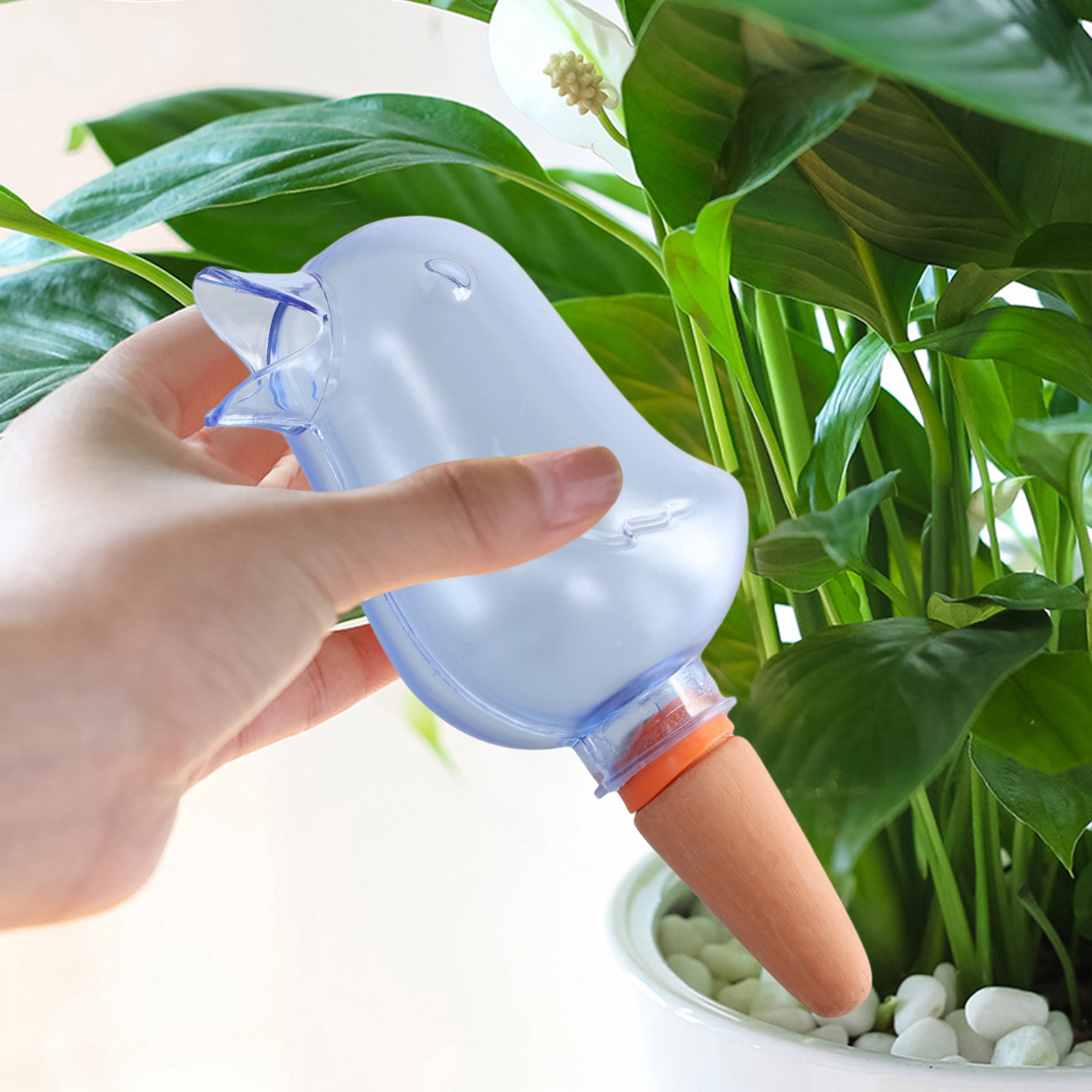 Automatic Plant Drip Irrigatio - đánh giá và giá Pothos