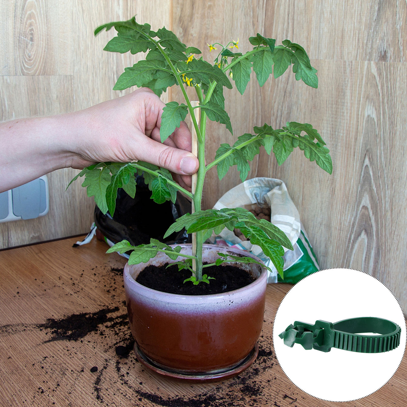 20Pcs Vine Fixing Buckle Garde - đánh giá và giá Plant Support Stake