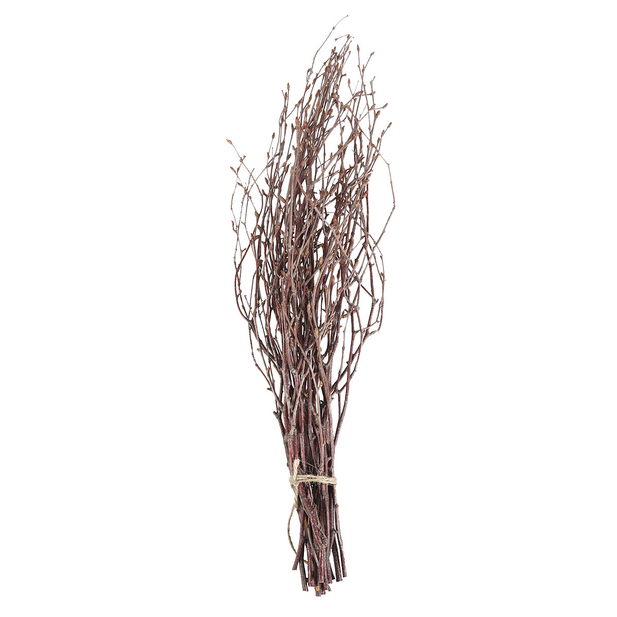 10Pcs Birch Branches Natural D - đánh giá và giá Snake Plant