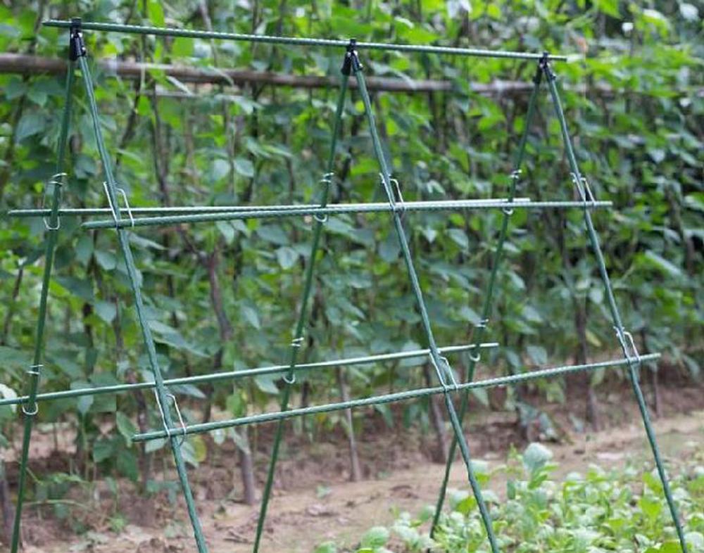 Đường Kính 8/11/16Mm Vật Có Hỗ - đánh giá và giá Plant Support Stake