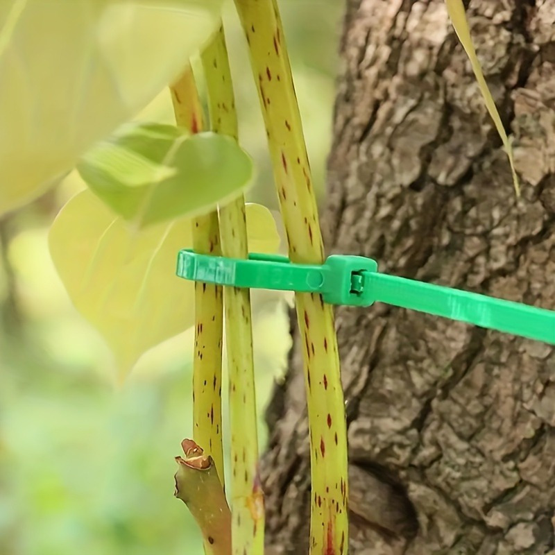 100pcs Garden Cable Tie, Plant - đánh giá và giá Plant Pot