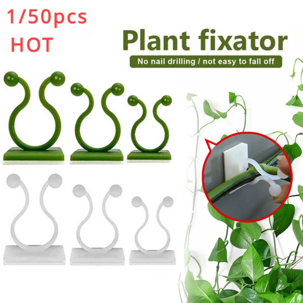 1/30/50Pcs For Garden Accsesor - đánh giá và giá Plant Support Stake