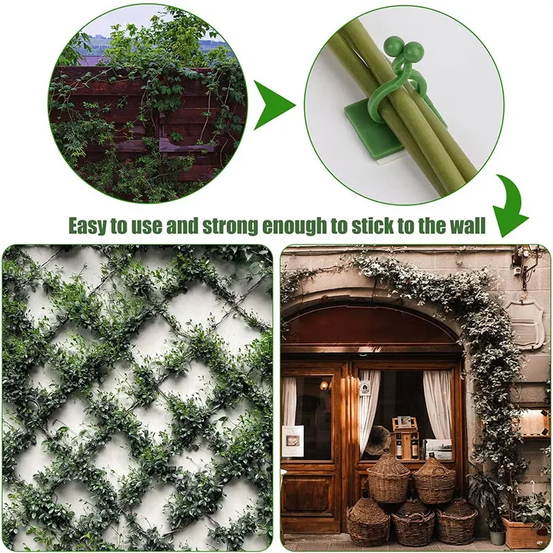 1/30/50Pcs For Garden Accsesor - đánh giá và giá Plant Support Stake