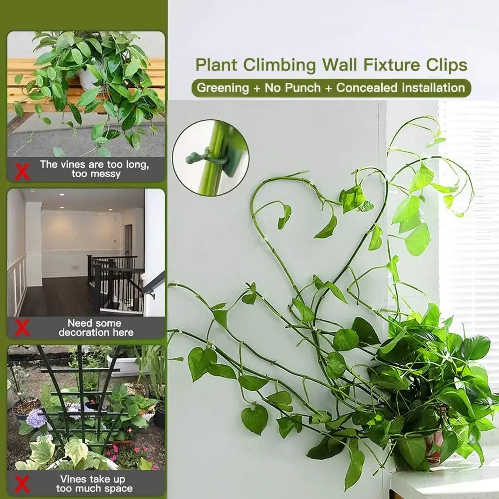 1/30/50Pcs For Garden Accsesor - đánh giá và giá Plant Support Stake