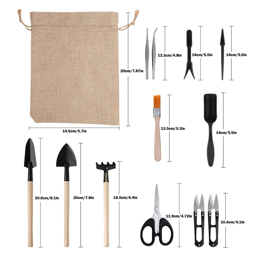 Succulent Plants Tools Mini Ga - đánh giá và giá Succulent Set