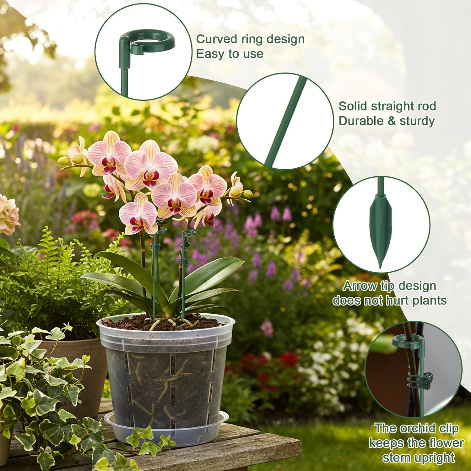 5/10pcs Plant Support Stakes P - đánh giá và giá Succulent Set